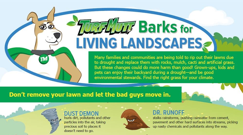 TurfMutt Barks for Living Landscapes